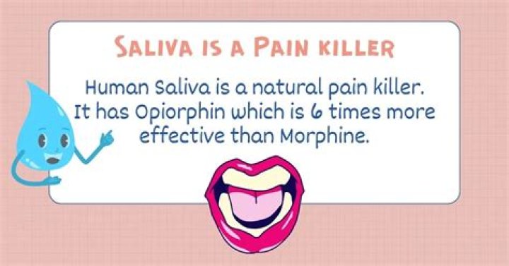 Does saliva have Opiorphin? | ContextResponse.com