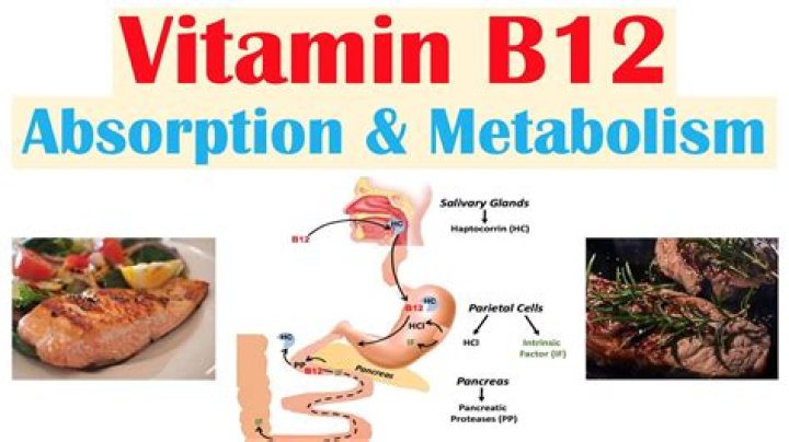Does vitamin b12 speed up your metabolism?