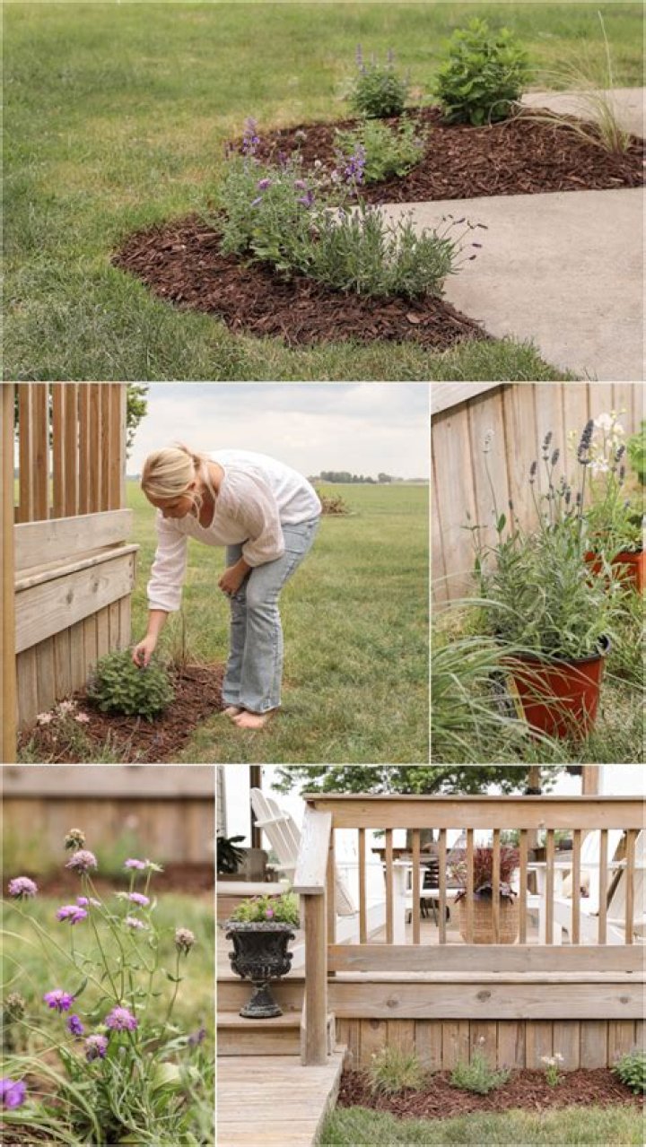 How do I make a flower bed tree?