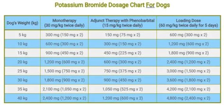 How long does it take for potassium bromide to work in dogs?