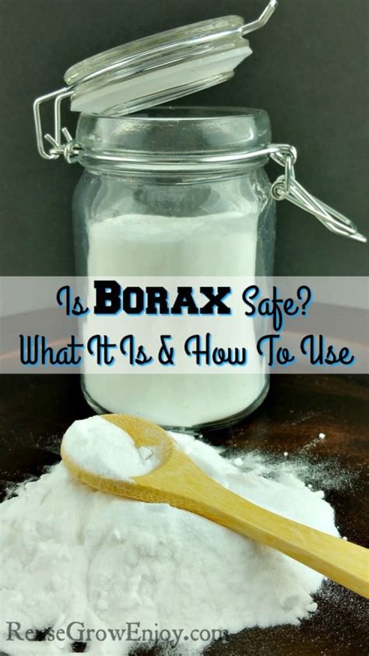 Is diluted Borax safe?