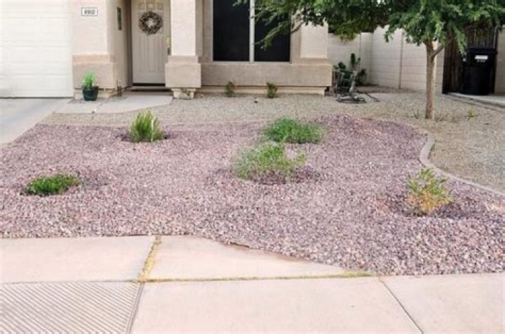 What can I do instead of grass?