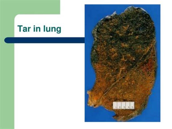What does tar do to your lungs?