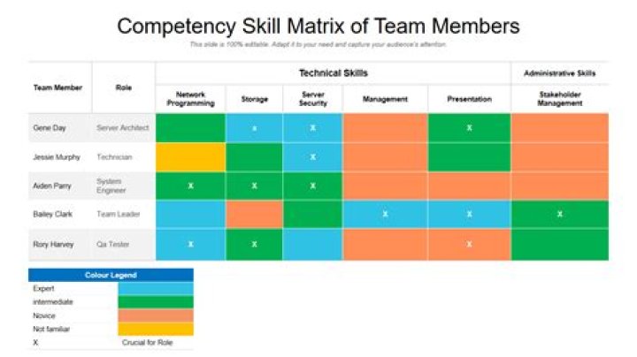 What is a team skills matrix?