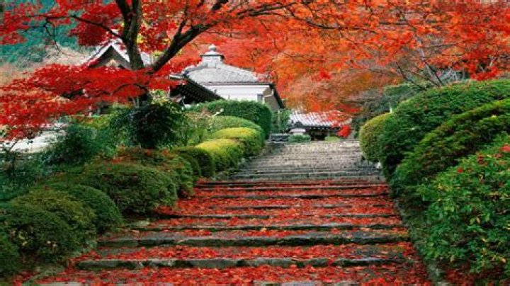 What is the landscape in Japan?