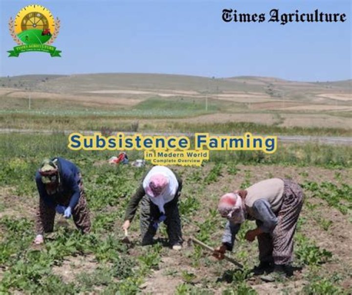 What is the meaning of subsistence system?