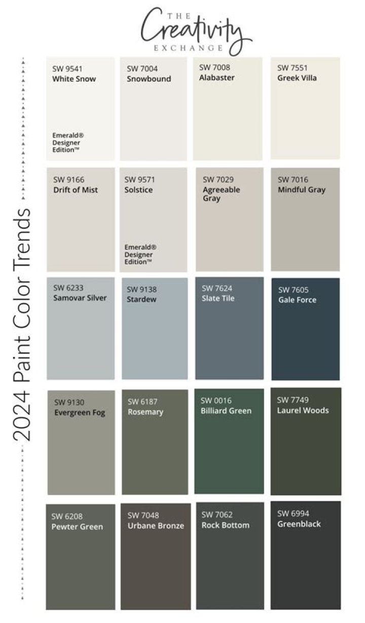 What is the paint color for 2019?