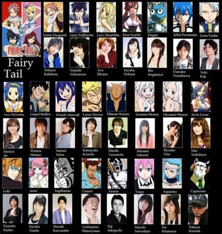 Who plays the voice of Natsu in fairy tail?